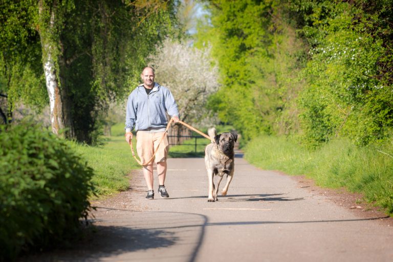 Ehrenamtlich helfen Tierheim Karlsruhe