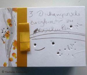 15045455_1295201343864691_1310159095_o