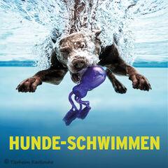 Tierheim Karlsruhe ist dabei: 7. Hunde-Schwimmen im Rheinstrandbad Rappenwört