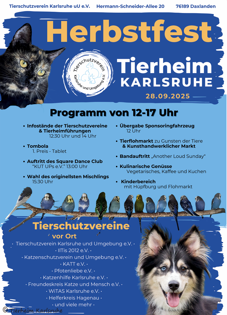 Großes Herbstfest im Tierheim Daxlanden am 28.09.25 (12 – 17 Uhr)