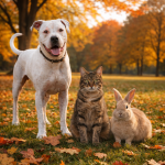Großes Herbstfest im Tierheim Daxlanden am Sonntag, 27.09.26 (12 – 17 Uhr)