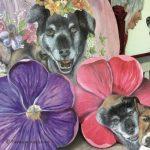 Herzliche Einladung zu 20 Jahre - Evelyns Hunde- und Katzensteine -
